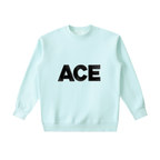 Men Essential Heavyweight Crewneck Sweatshirt - ACE