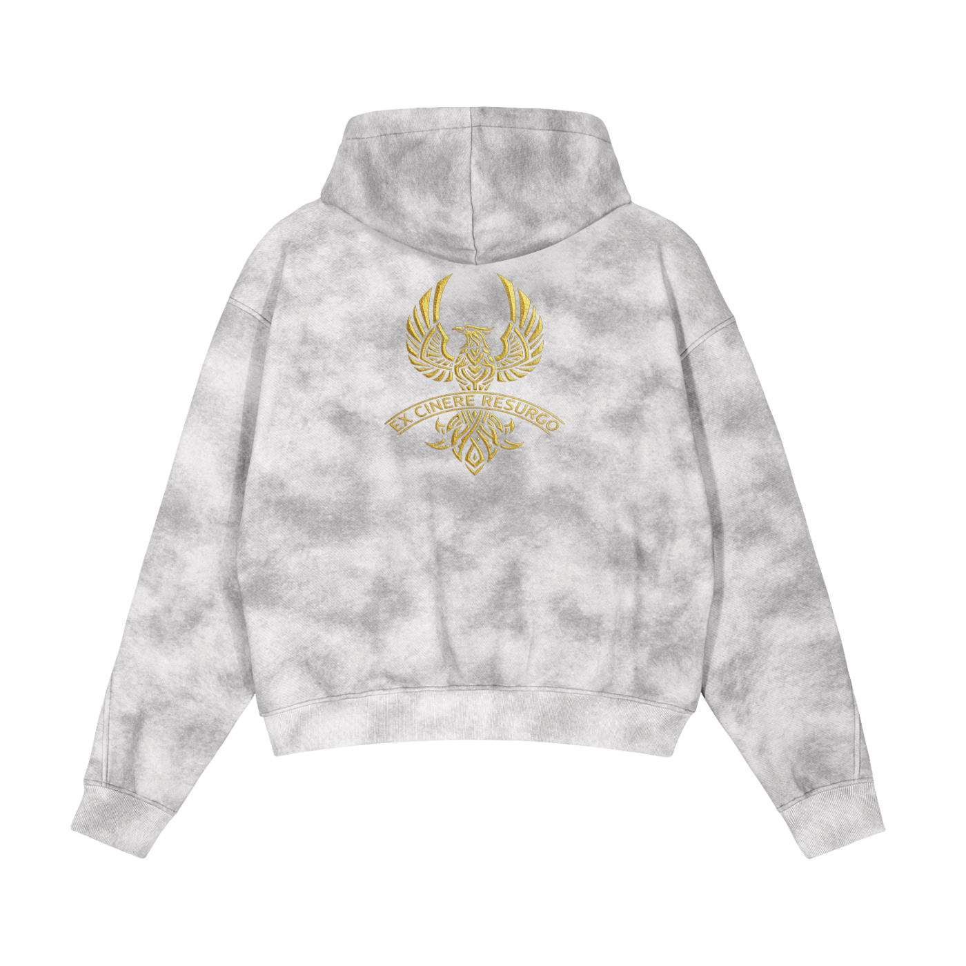 ACE,Men,Hoodie